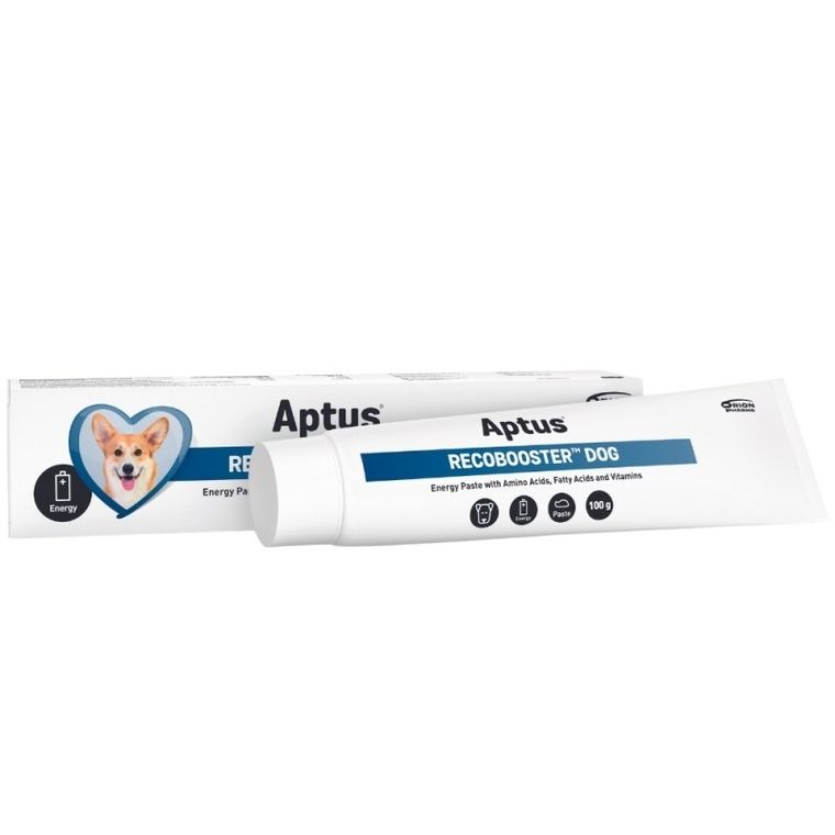 Aptus, Recobooster Dog, pasta na apetyt dla psa, 100g