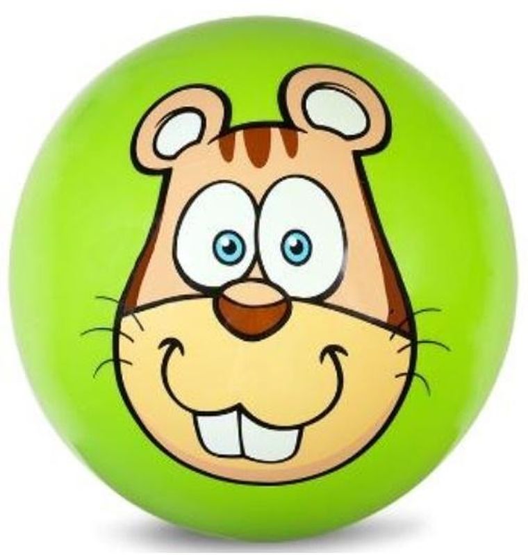 Artyk, piłka, 23 cm, świstak