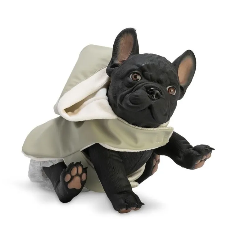 Asi, Nono, piesek hiszpański, buldog francuski, 32 cm