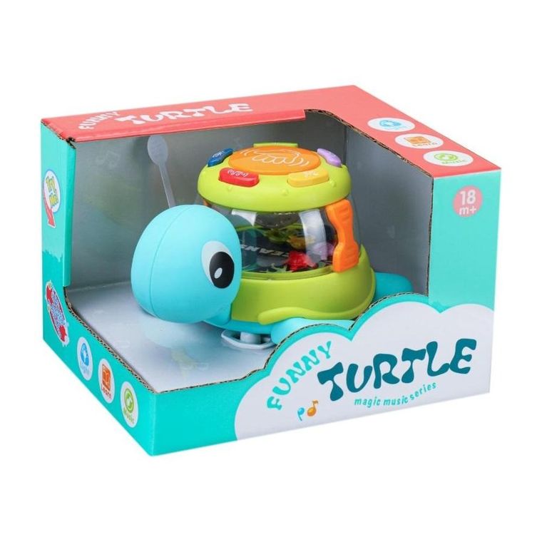 Askato, perkusja, żółwik