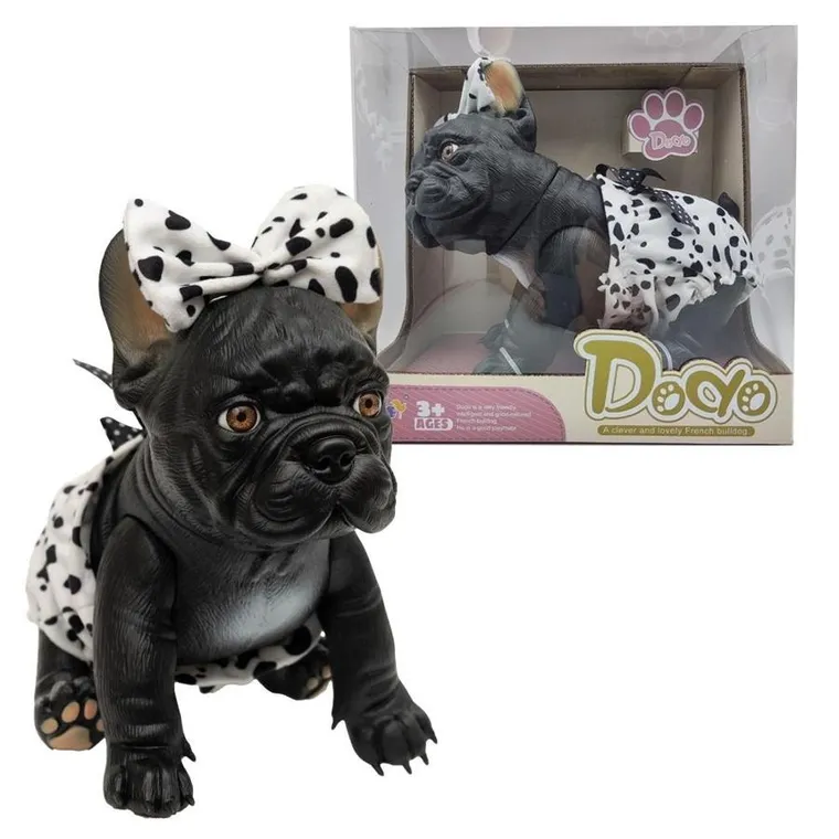 Askato, piesek hiszpański, buldog francuski, 29 cm