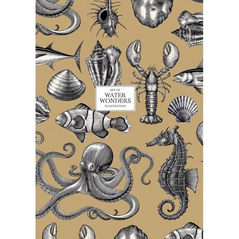 Astra, brulion A4, 80 kartek, kratka, Water Wonders, 1 szt.