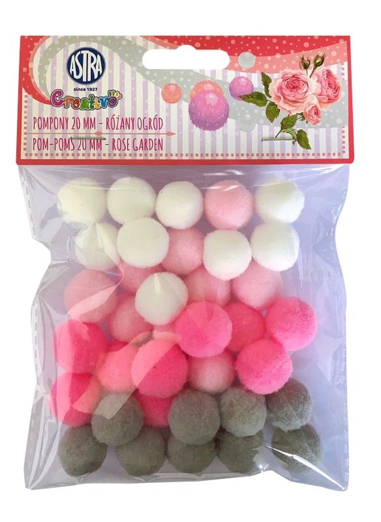 Astra, pompony, różany ogród, 20 mm