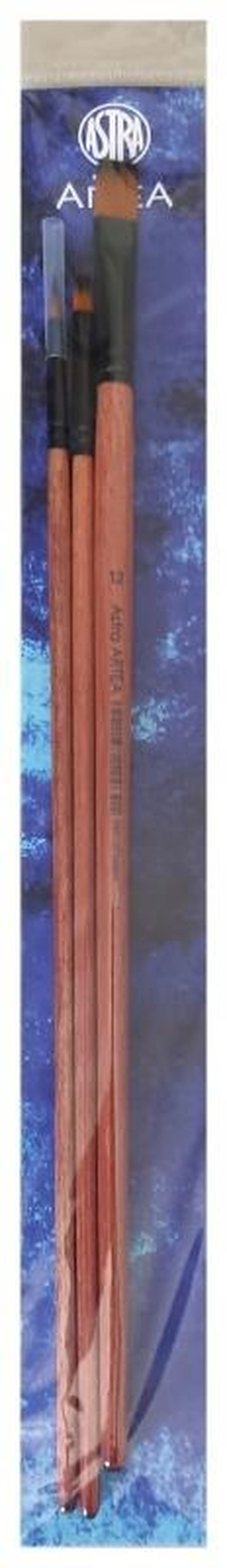 Astra, zestaw pędzli, nylon, 3 szt.