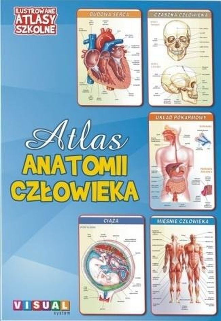 Atlas anatomii człowieka