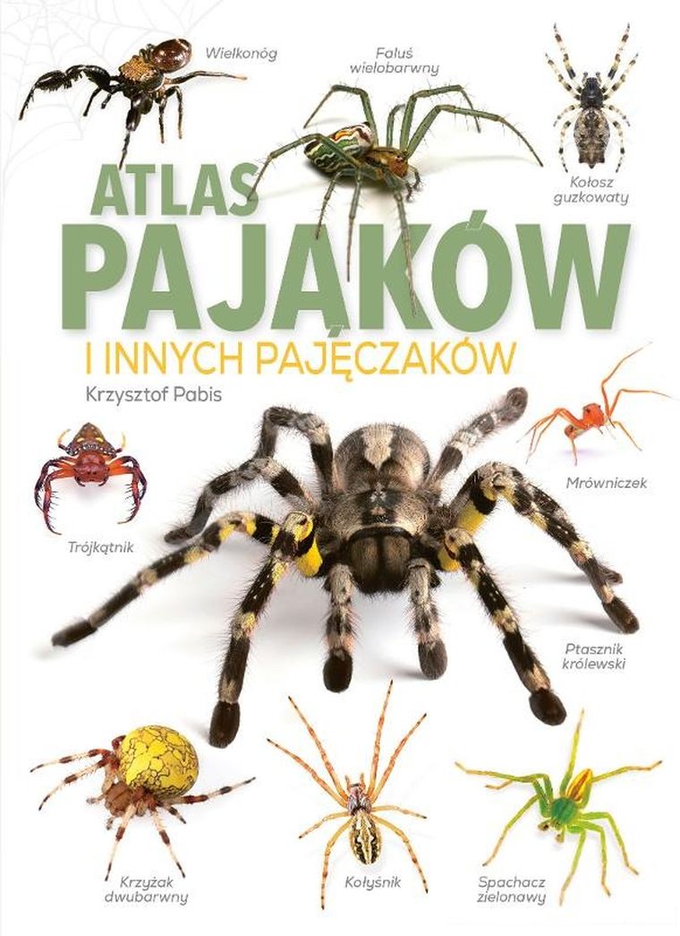 Atlas Pająków i innych pajęczaków