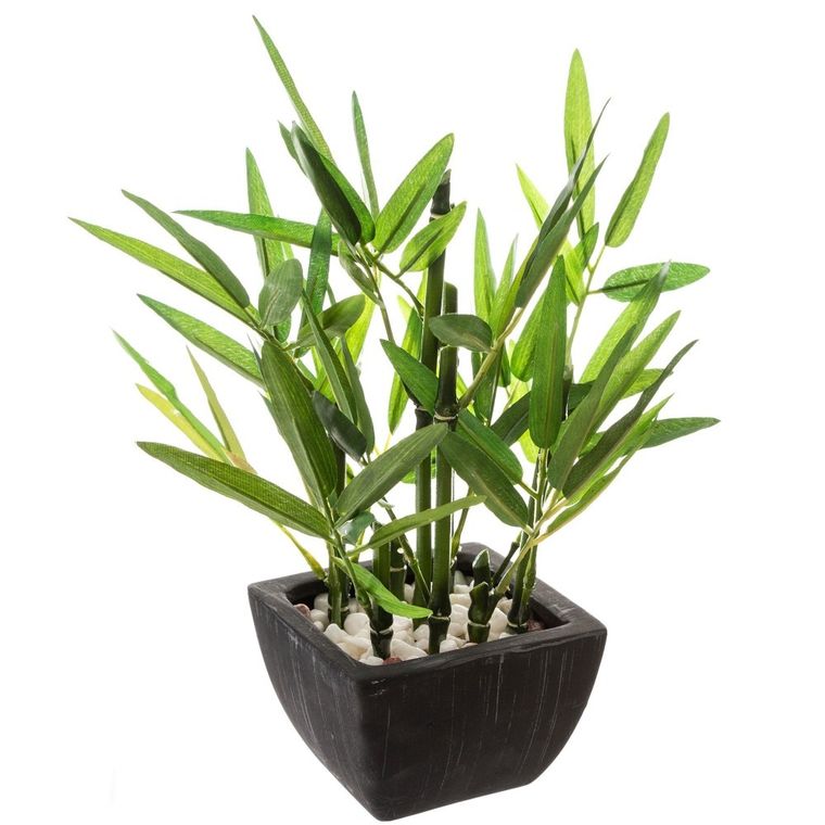 Atmosphera, sztuczna roślina ozdobna, bambus, 26 cm, czarna doniczka