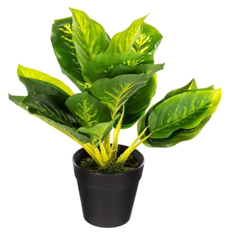 Atmosphera, sztuczna roślina w doniczce, Kalatea, 30 cm