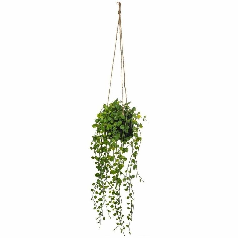 Atmosphera, sztuczna roślina wisząca, Peperomia, Ø 18-62 cm