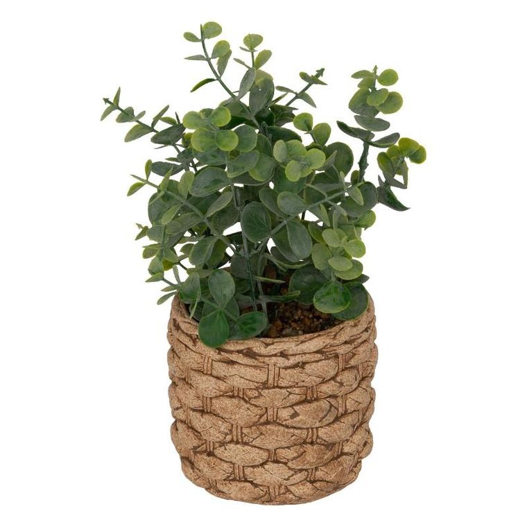 Atmosphera, sztuczny Eukaliptus Jaye w ceramicznej doniczce, 27 cm