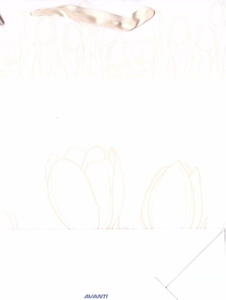 Avanti, torebka prezentowa, rozmiar L