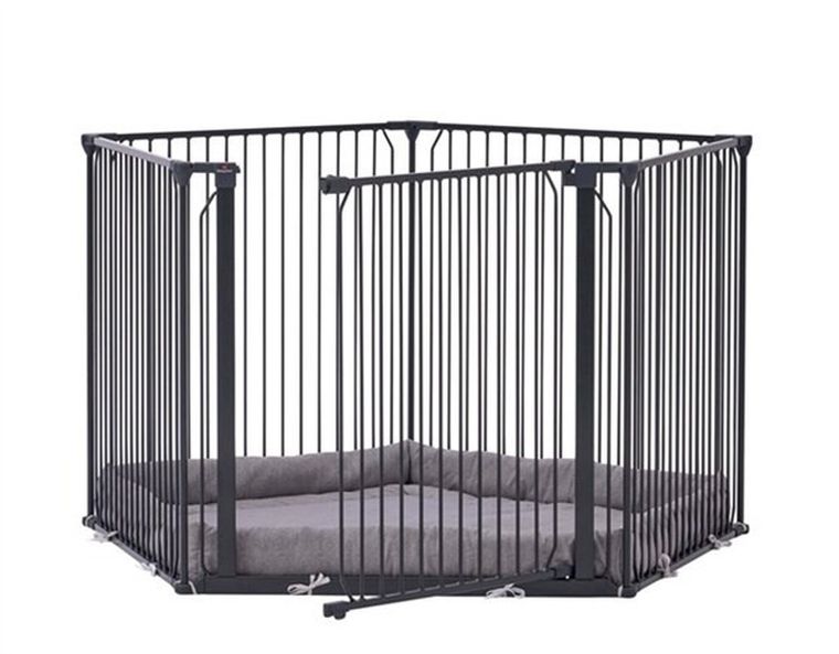 Baby Dan, Carl Pentagon, kojec, czarny