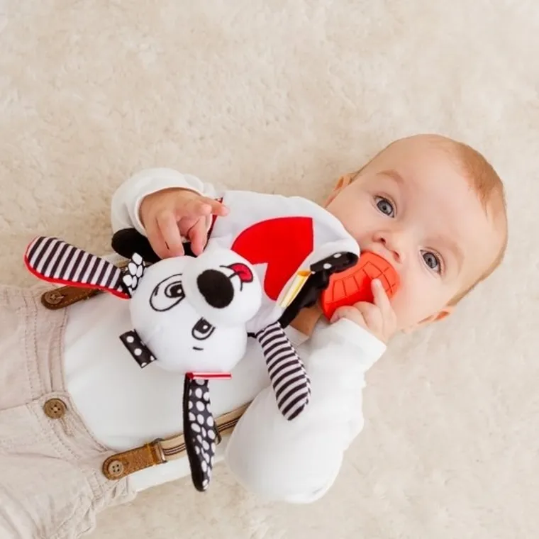 Balibazoo, Szeleszczący piesek Pedro, zabawka niemowlęca, sensoryczna
