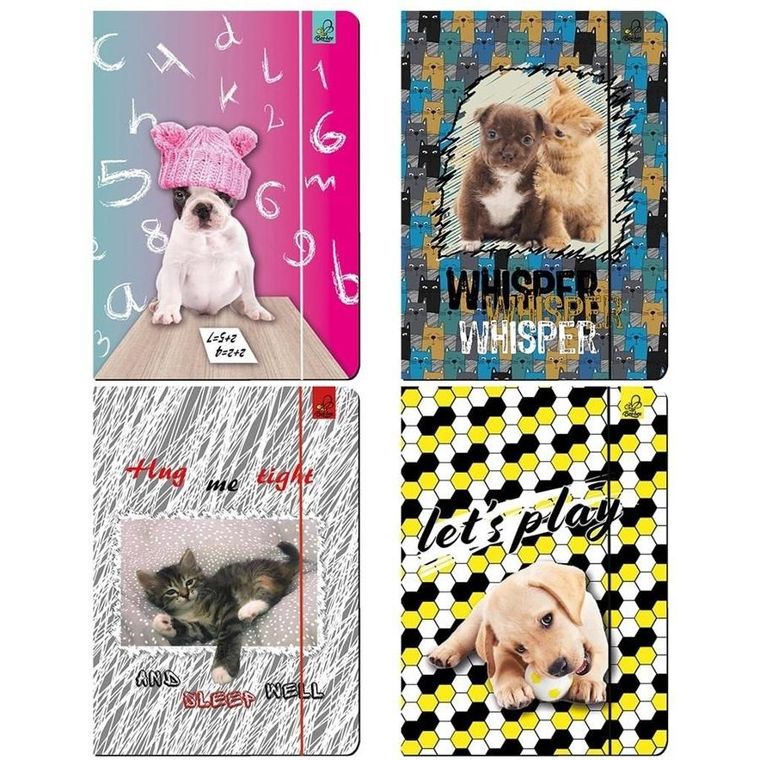 Bee-bee, teczka, A4, z gumką, zwierzaki, 1 szt.