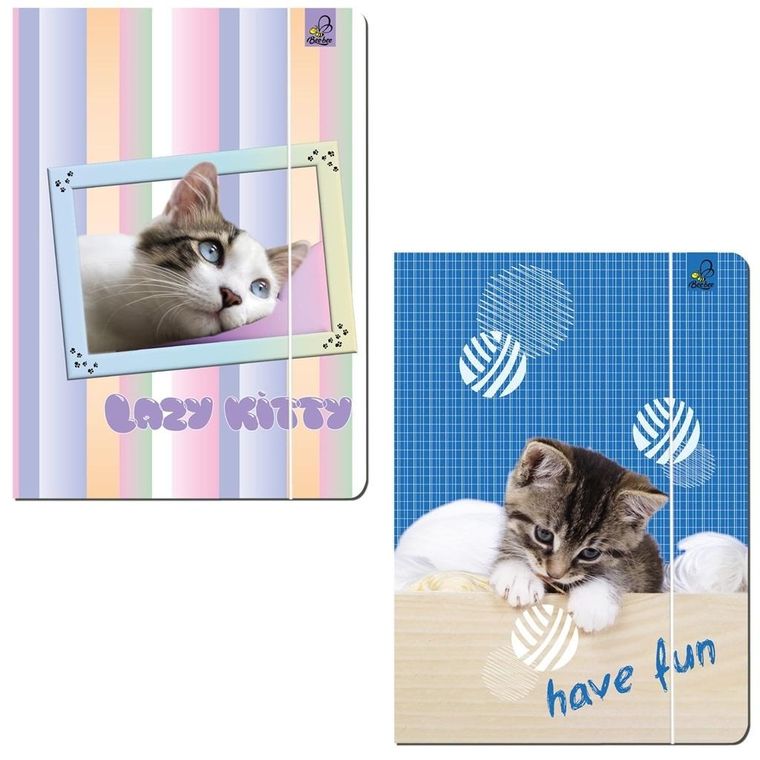 Bee-bee, teczka z gumką A4, Best Friend Koty