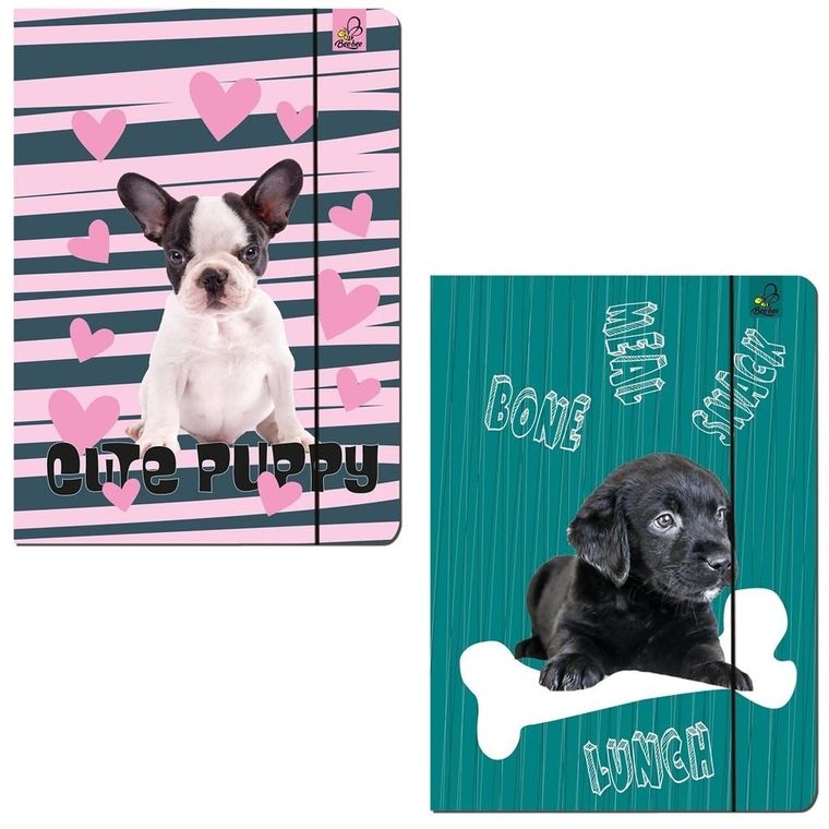 Bee-bee, teczka z gumką A4, Best Friend Psy