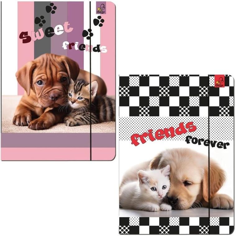 Bee-bee, teczka z gumką A4, Psy Koty, 1 szt.