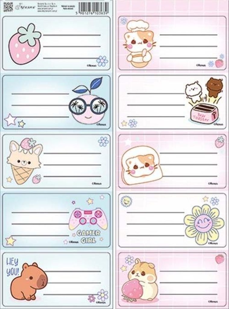 Beniamin, naklejki na zeszyty, dziewczynka