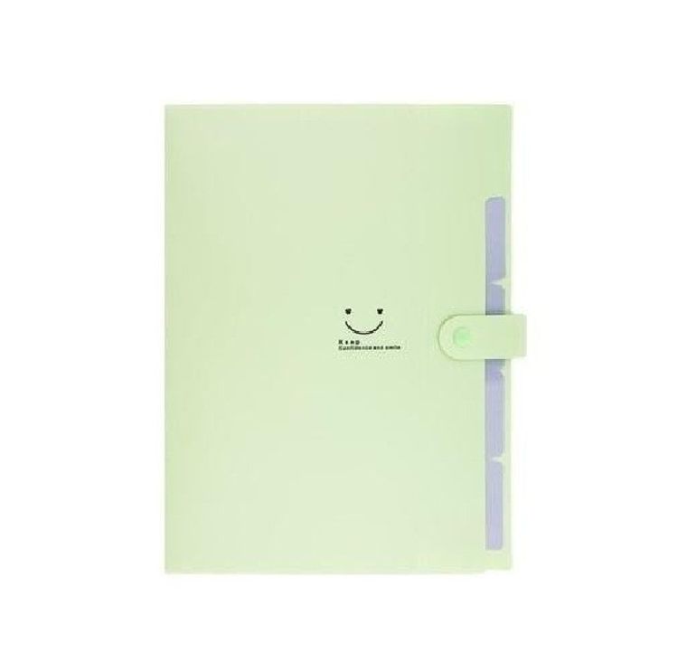 Beniamin, teczka plastikowa z 5 przegródkami A4, zielona, 1 szt.