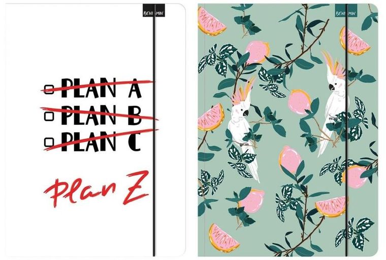 Beniamin, teczka z gumką A4, 1 szt.