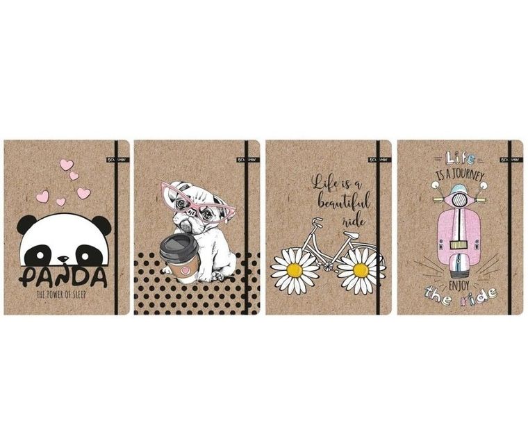 Beniamin, teczka z gumką A4, kraft liner, 1 szt.