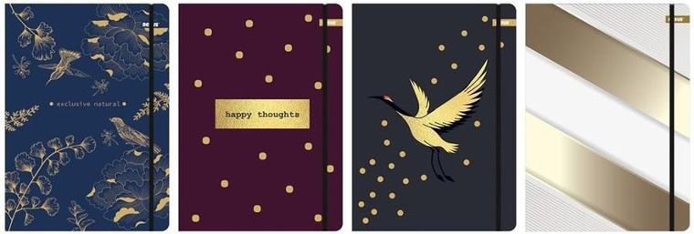 Beniamin, teczka z gumką, A4, Metalic Colour, 1 szt.