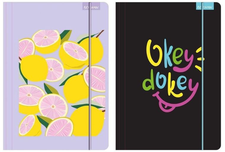 Beniamin, teczka z gumką A4, priplak, 1 szt.