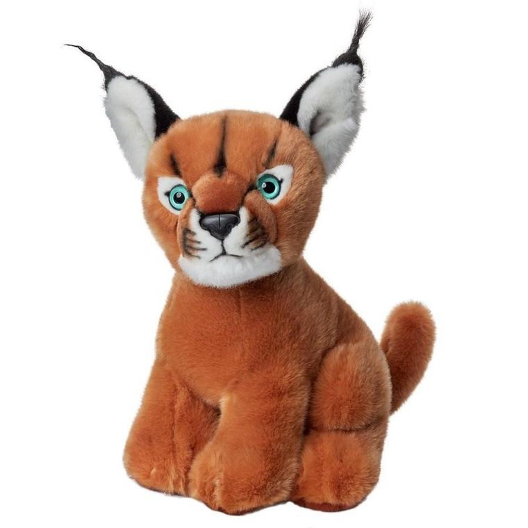 Beppe, Karakal, maskotka, 30 cm