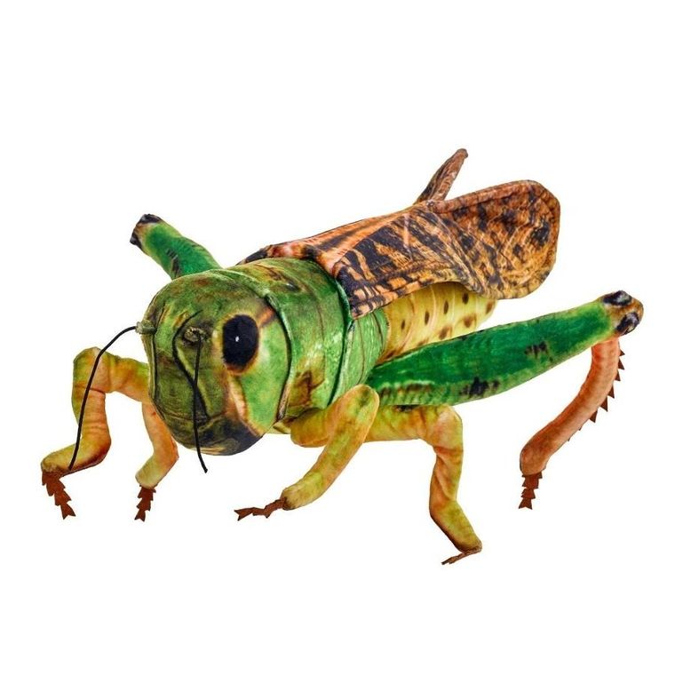 Beppe, Konik polny, maskotka, 41 cm