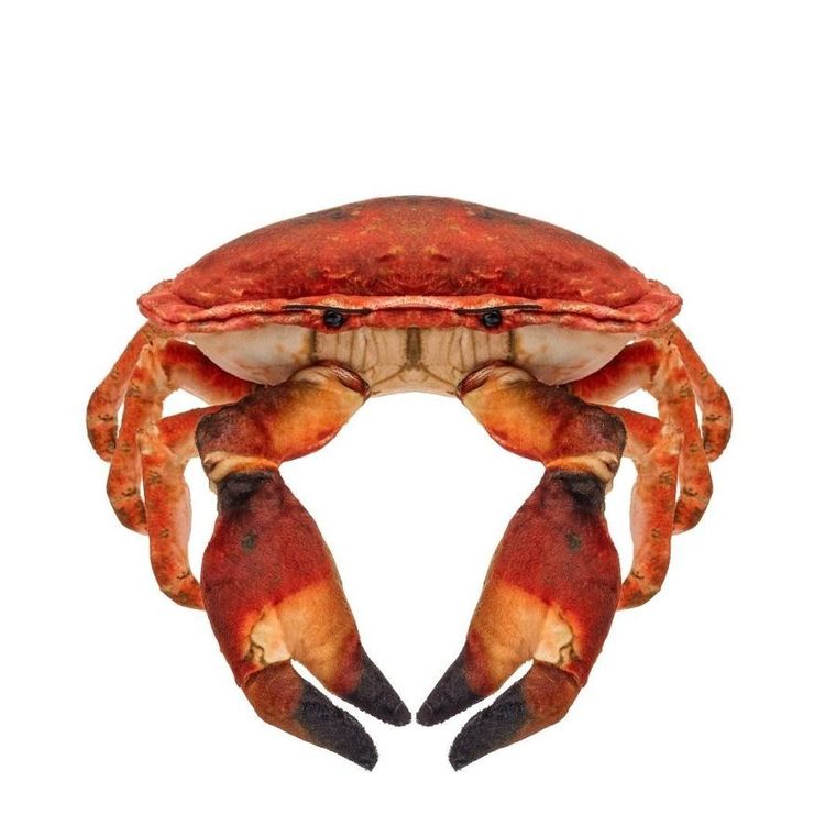 Beppe, Krab słonowodny, maskotka, 26 cm