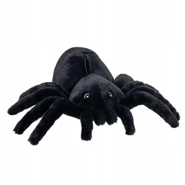 Beppe, pająk, maskotka, 50 cm