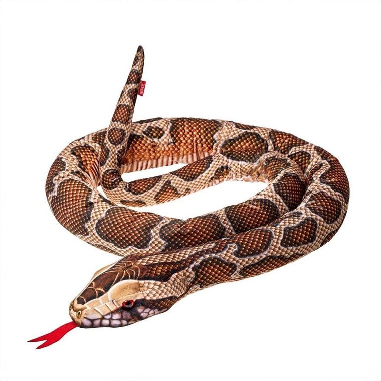 Beppe, Pyton Birmański, maskotka, 180 cm