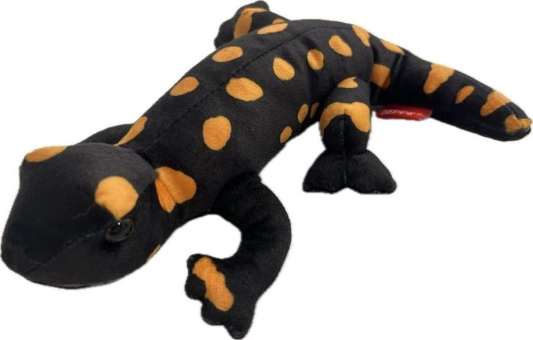 Beppe, salamandra plamista, maskotka, 20 cm
