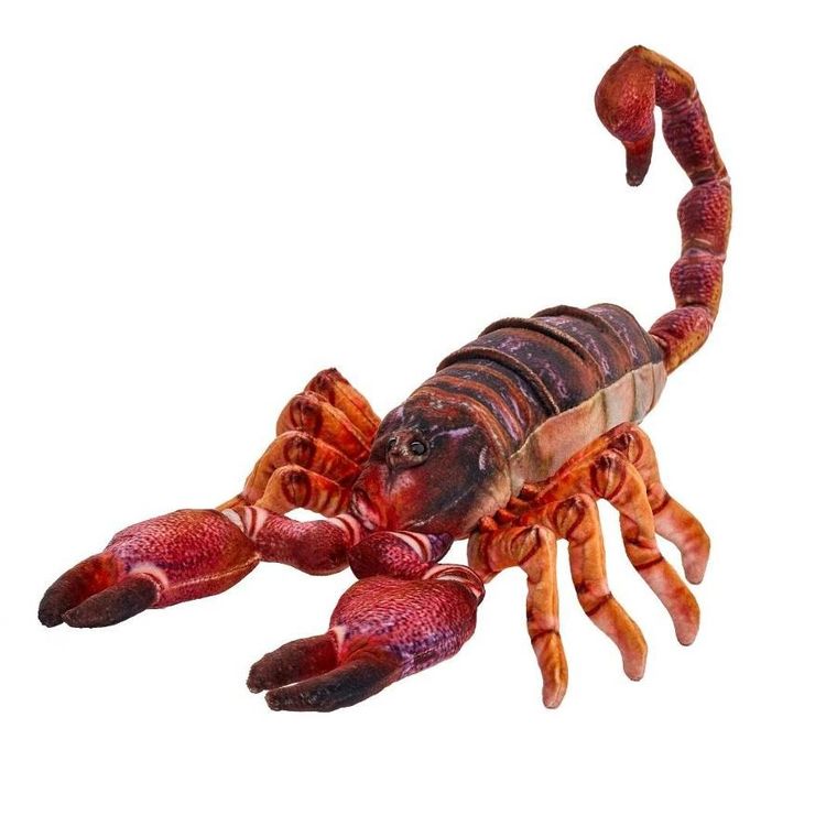 Beppe, Skorpion, maskotka, brązowy, 38 cm