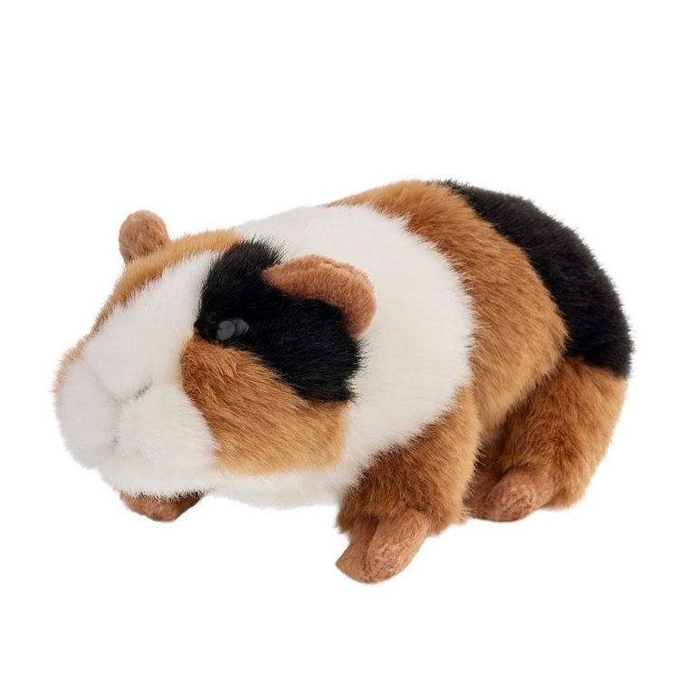 Beppe, Świnka morska, maskotka, 18 cm