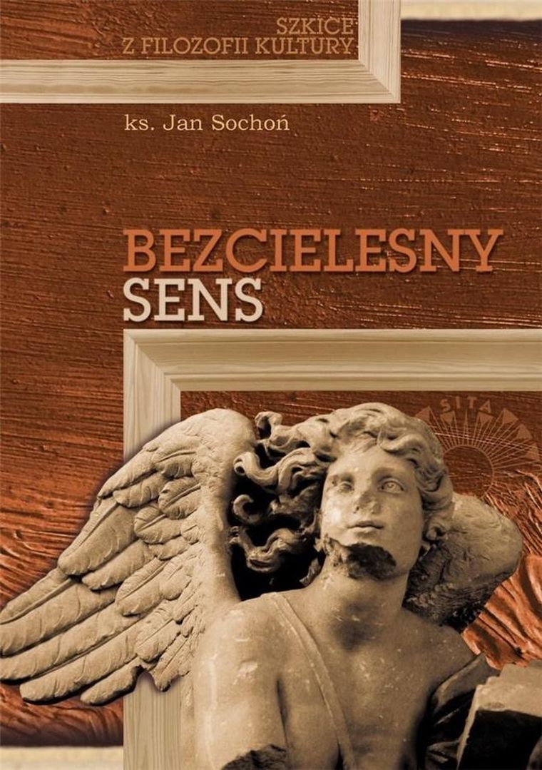 Bezcielesny sens