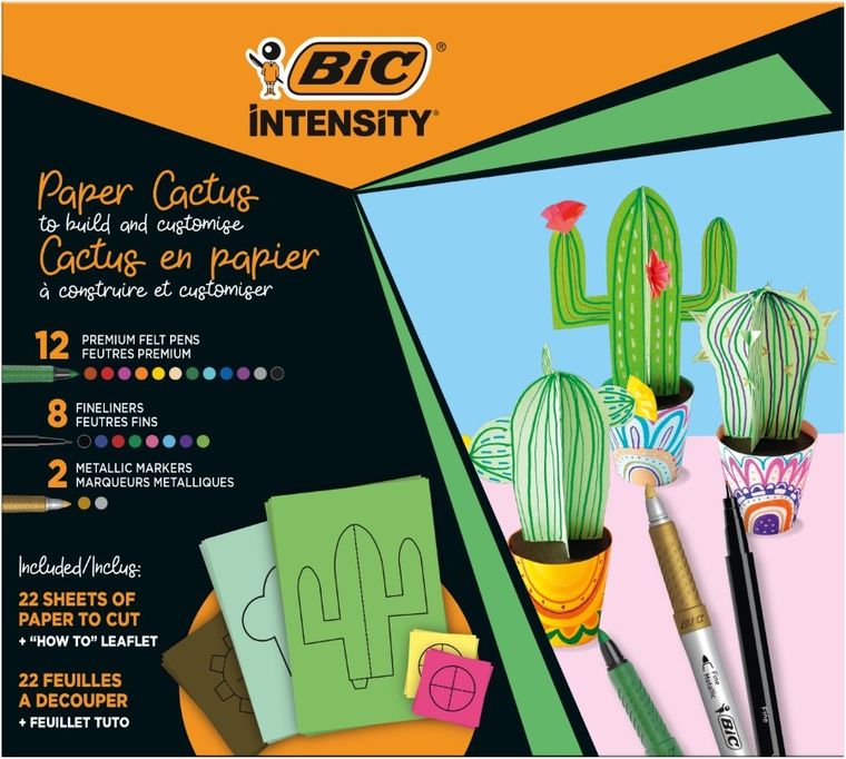 Bic, Intensity, Cactus, zestaw kreatywny