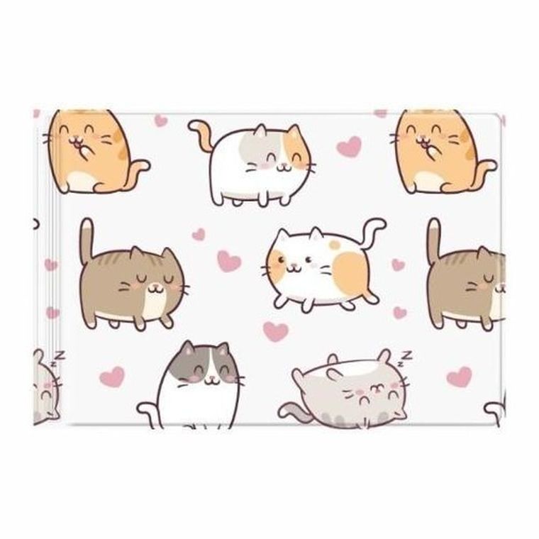 Biurfol, okładka na dokumenty ucznia małe, z nadrukiem, kittens, 1 szt.