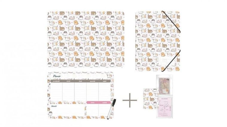 Biurfol, zestaw szkolny: podkładka, teczka, planer, okładka na dokumenty, kittens
