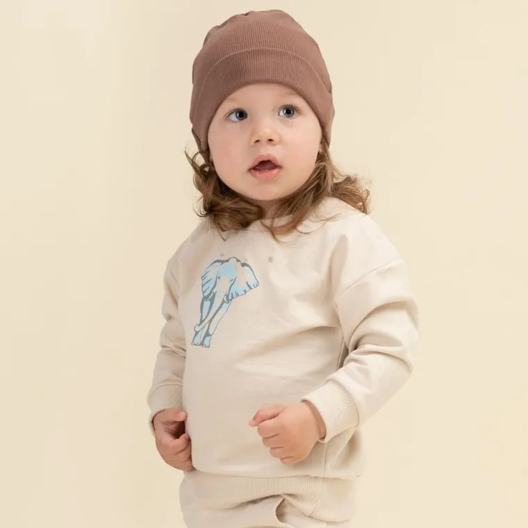 Bluza chłopięca, beżowa, Pinokio