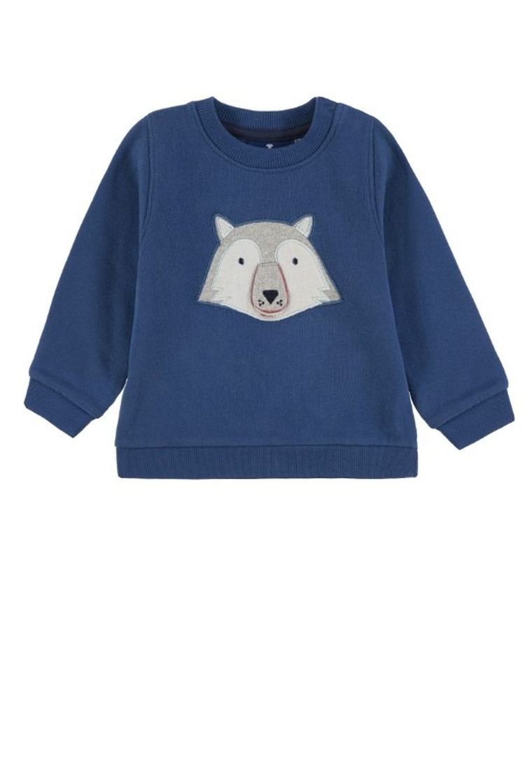 Bluza chłopięca, niebieska, niedźwiedź, Tom Tailor