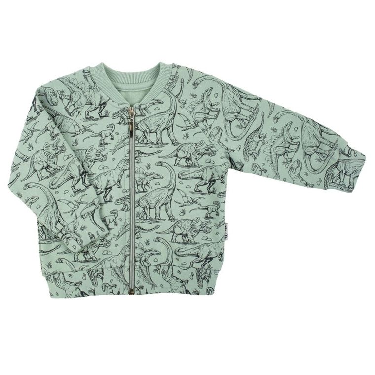 Bluza chłopięca, rozpinana, zielona, Nicol