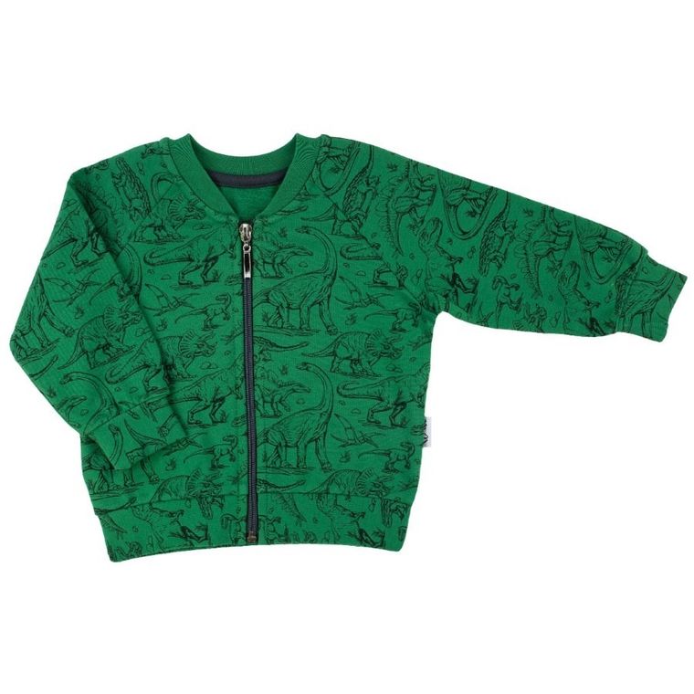 Bluza chłopięca, rozpinana, zielona, Nicol