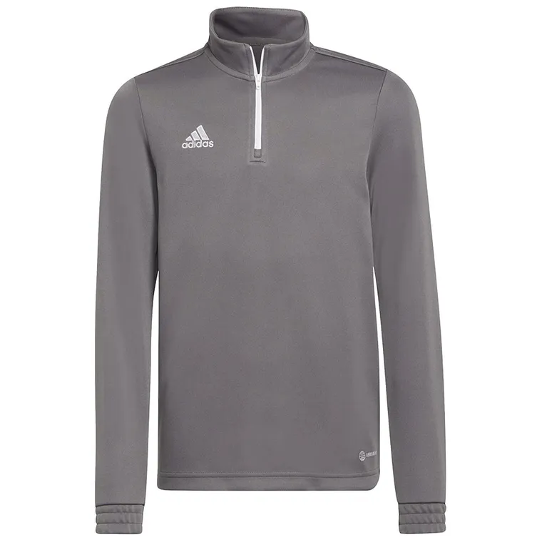 Bluza chłopięca, szara, Adidas Entrada 22