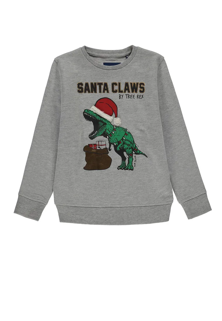 Bluza chłopięca, szara, Tom Tailor