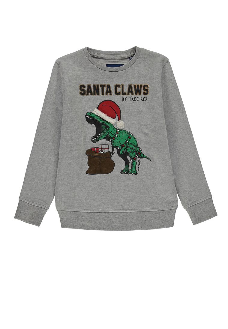 Bluza chłopięca, szara, Tom Tailor