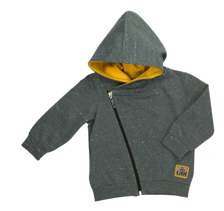 Bluza chłopięca z kapturem, rozpinana, grafitowa, Junior Lion, Nicol