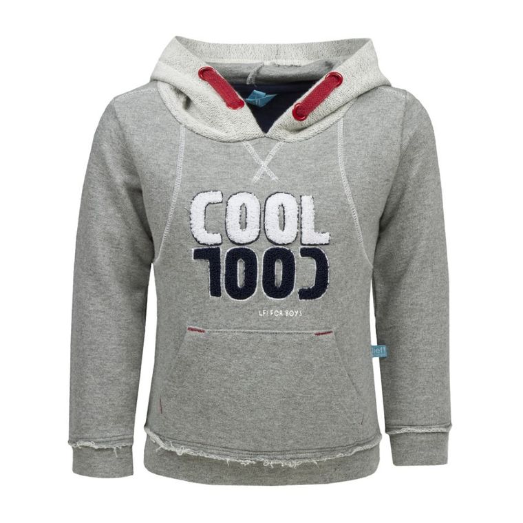Bluza chłopięca z kapturem, szara, Lief