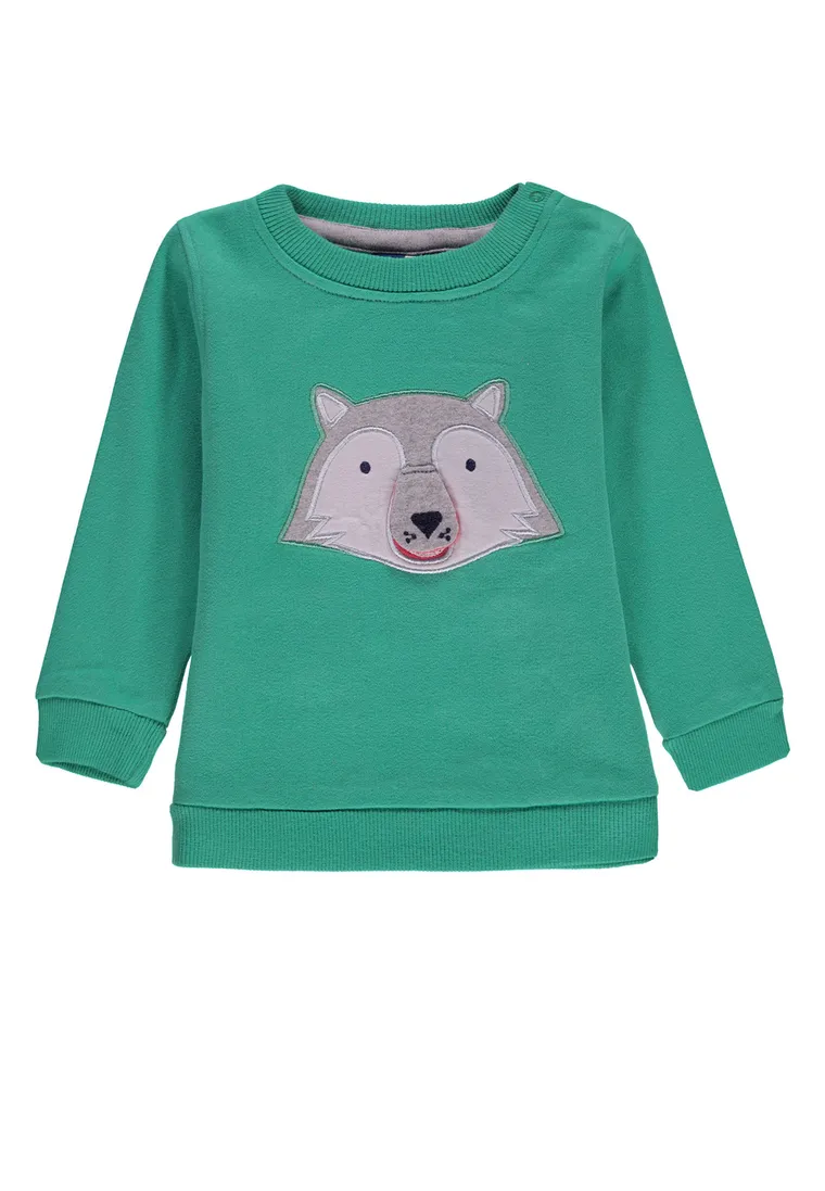 Bluza chłopięca, zielona, Tom Tailor