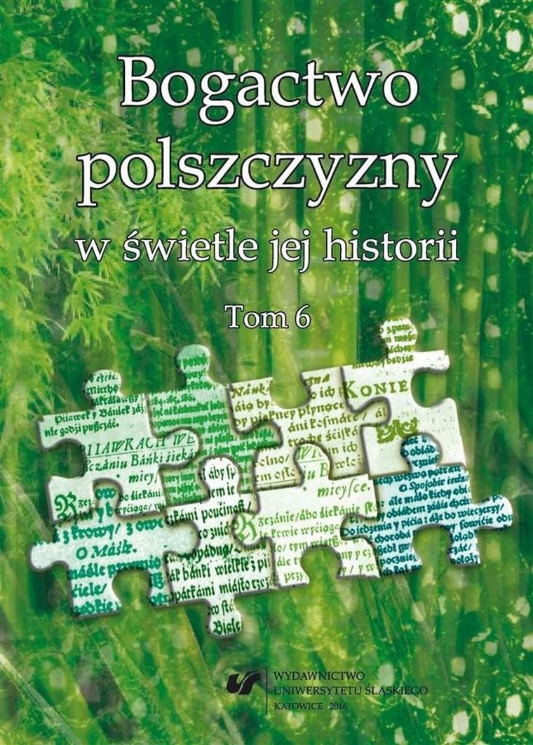 Bogactwo polszczyzny w świetle jej historii. Tom 6